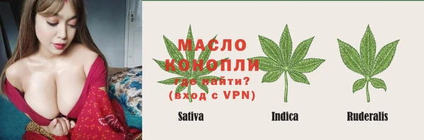 сатива Вязьма