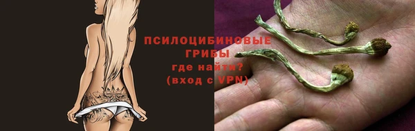 МДПВ Вязники