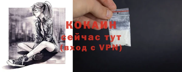 сатива Вязьма