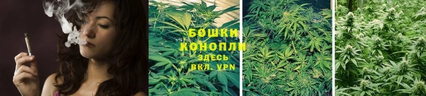 сатива Вязьма