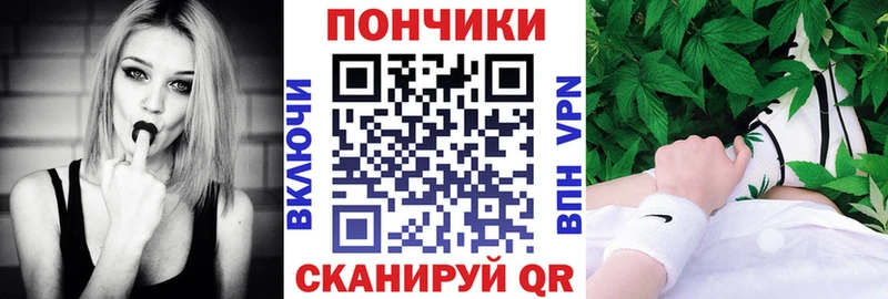 купить   Знаменск  omg рабочий сайт  Бошки марихуана Bruce Banner 